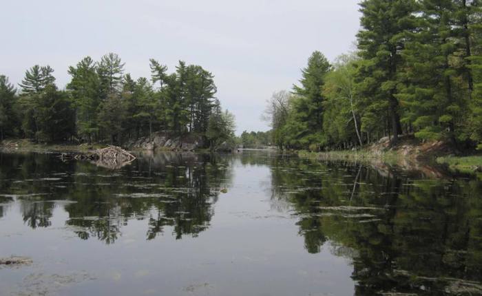 Write a letter in&nbsp;support